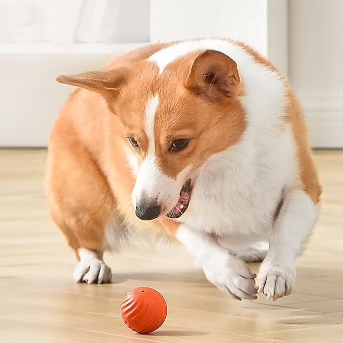 ChaseSpark™ — Ignite Your Dog’s Wild Instincts for Endless Joyful Play