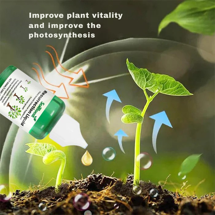 TerraVibe™ Botanical Elixir — Ignite Lush Growth and Unbreakable Plant Vitality