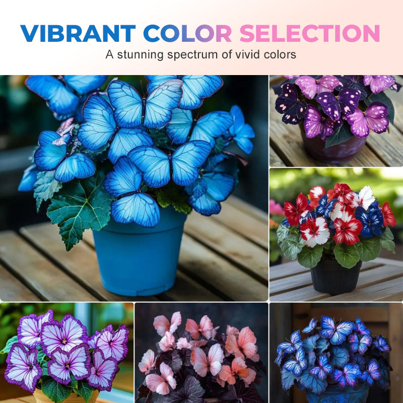 VividWing™ Butterfly Bloom Seeds — Create a Jaw-Dropping Garden Oasis That Dazzles Every Season