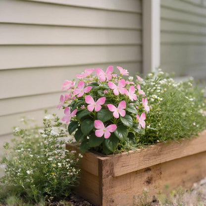 VividWing™ Butterfly Bloom Seeds — Create a Jaw-Dropping Garden Oasis That Dazzles Every Season
