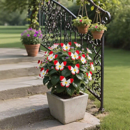 VividWing™ Butterfly Bloom Seeds — Create a Jaw-Dropping Garden Oasis That Dazzles Every Season