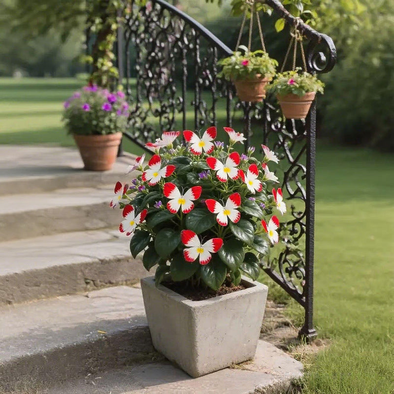 VividWing™ Butterfly Bloom Seeds — Create a Jaw-Dropping Garden Oasis That Dazzles Every Season