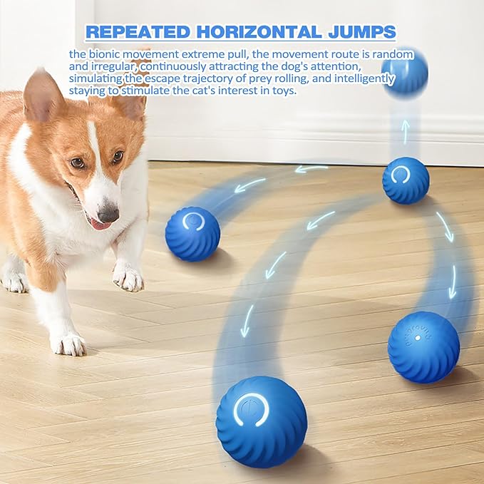 ChaseSpark™ — Ignite Your Dog’s Wild Instincts for Endless Joyful Play