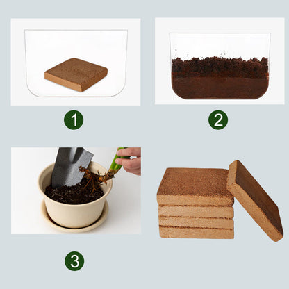 TerraPulse™ Organic Coconut Coir — Ignite Lush Growth with Every Breath Your Garden Takes