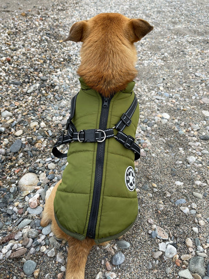 BlizzardGuard™ — Wrap Your Dog in Stormproof Warmth and Total Leash Control