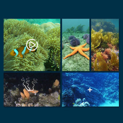 HydroVivid™ — Dive Into Stunning Underwater Worlds Without Getting Wet