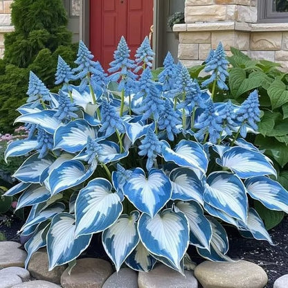 ShadeAura™ — Bring Your Shady Corners to Life with Effortless, Vibrant Growth