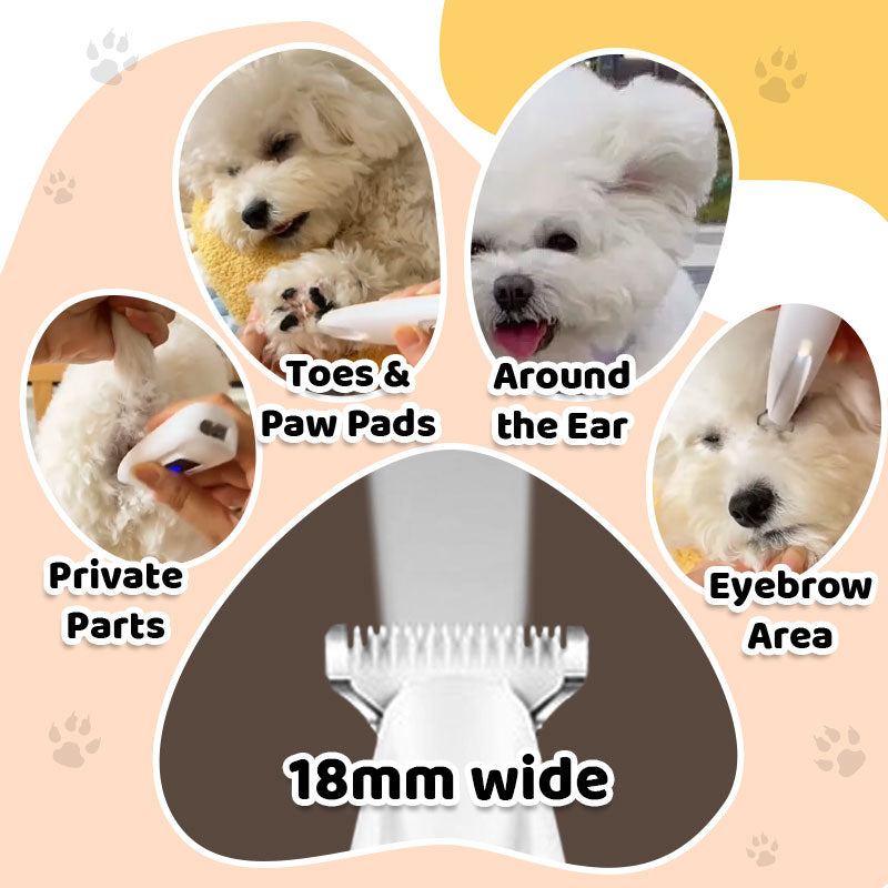 Grooméase™ — Effortless Control for Gorgeous, Stress-Free Pet Grooming