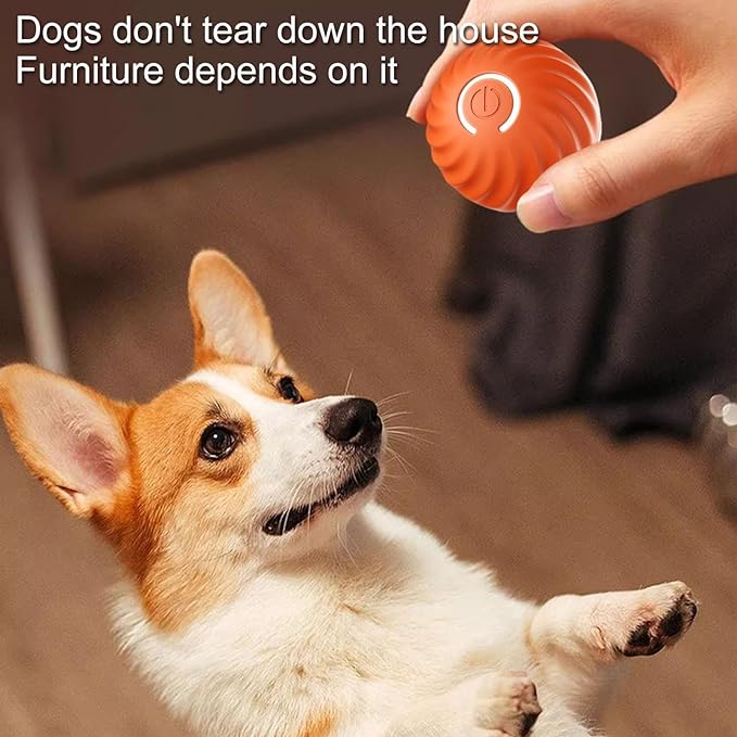 ChaseSpark™ — Ignite Your Dog’s Wild Instincts for Endless Joyful Play