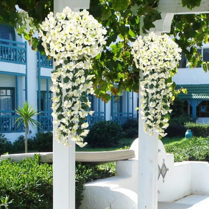 Floriquea™ — Transform Your Space with Effortless, Everlasting Orchid Elegance