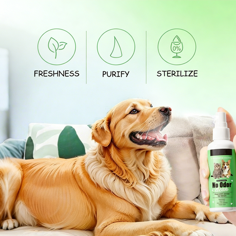 BrightPaw™ — Instantly Unleash Your Pet’s Freshest, Most Cuddle-Ready Smile
