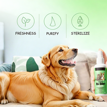 BrightPaw™ — Instantly Unleash Your Pet’s Freshest, Most Cuddle-Ready Smile
