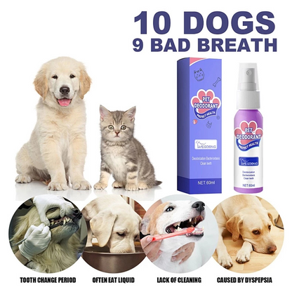 BreezeMist™ — Instantly Refresh Your Pet’s Breath for Snuggles That Spark Joy