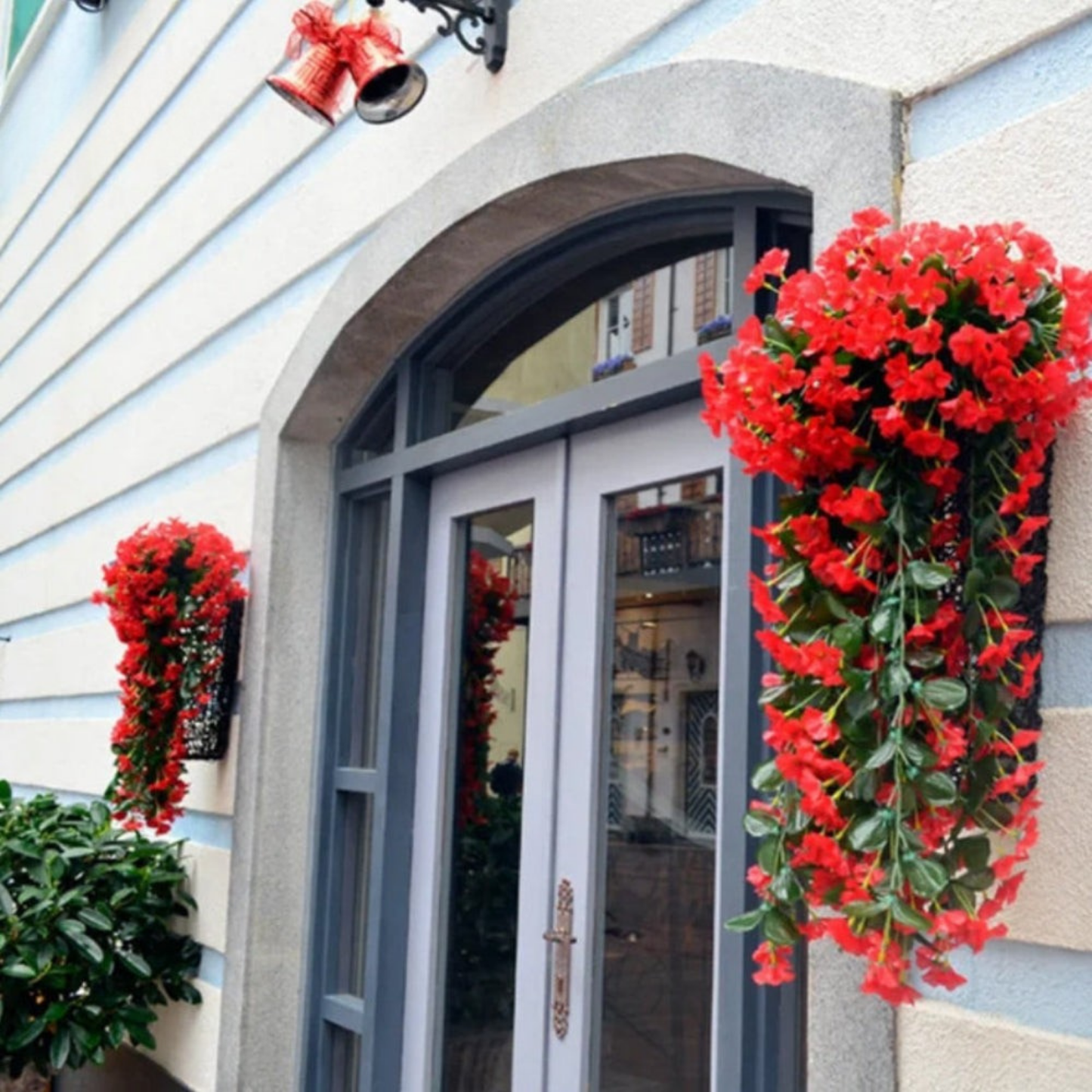 Floriquea™ — Transform Your Space with Effortless, Everlasting Orchid Elegance