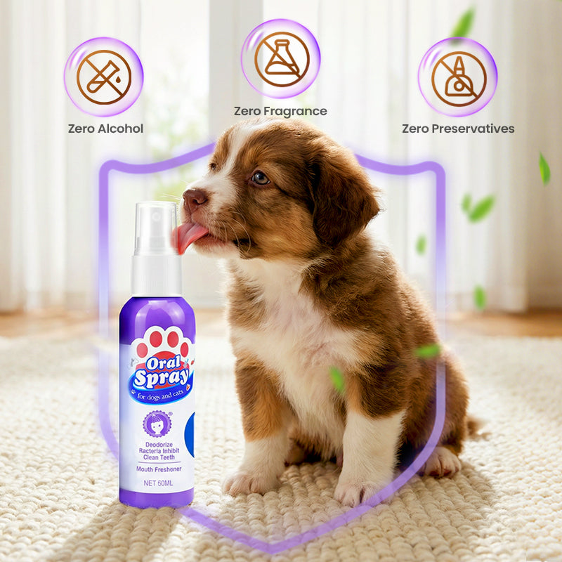 PawVita™ — Effortless Fresh Breath and Sparkling Smiles for Your Beloved Pet