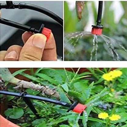 RainRoot™ — Effortless Precision Watering for a Garden That Thrives Without the Sweat