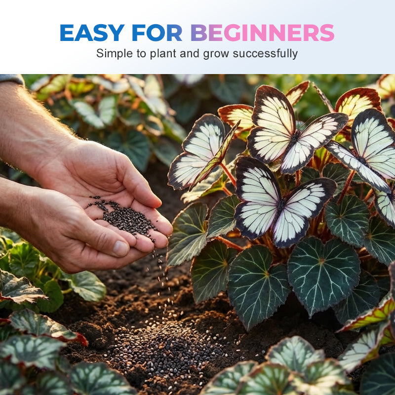 VividWing™ Butterfly Bloom Seeds — Create a Jaw-Dropping Garden Oasis That Dazzles Every Season
