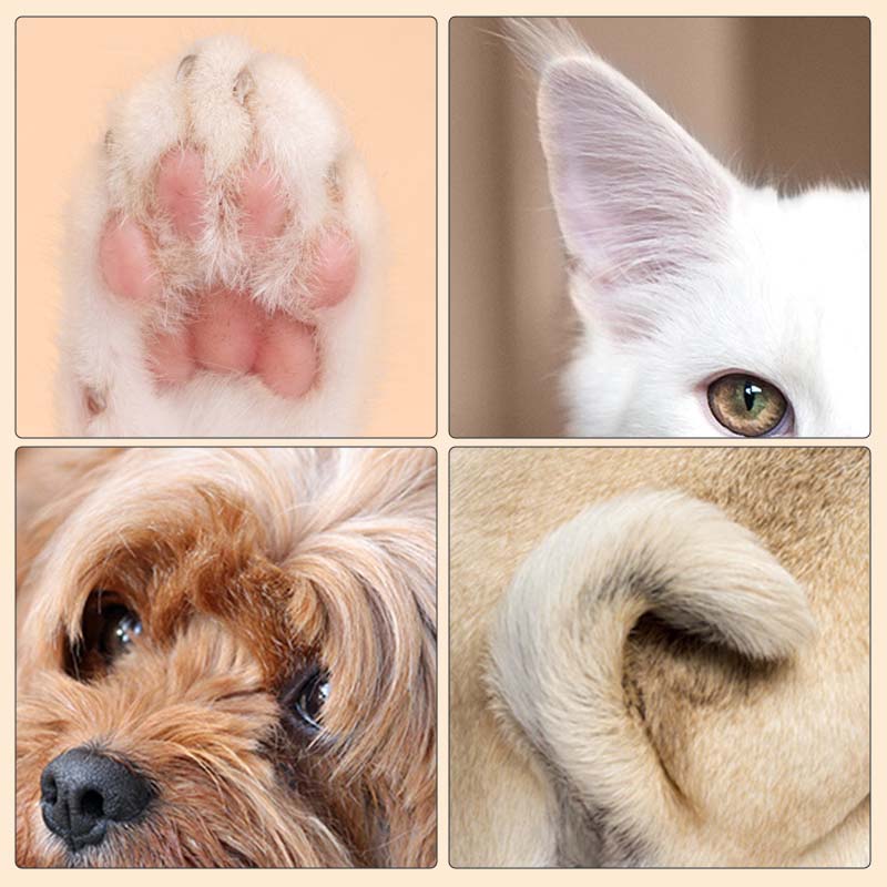 PurePaw Pro™ — Transform Stressful Grooming into Calm, Quick Bonding Moments