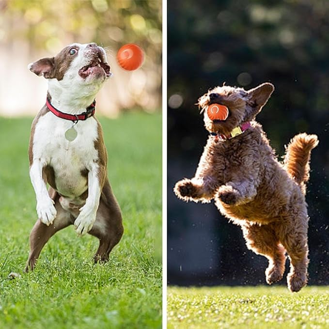 ChaseSpark™ — Ignite Your Dog’s Wild Instincts for Endless Joyful Play
