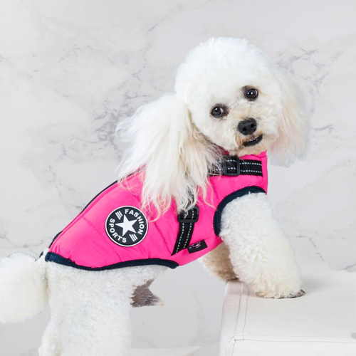 BlizzardGuard™ — Wrap Your Dog in Stormproof Warmth and Total Leash Control