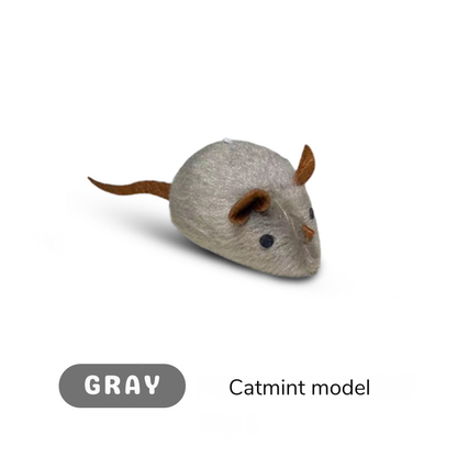 WhiskerZap™ — Ignite Your Cat’s Wild Instincts for Endless Thrilling Play