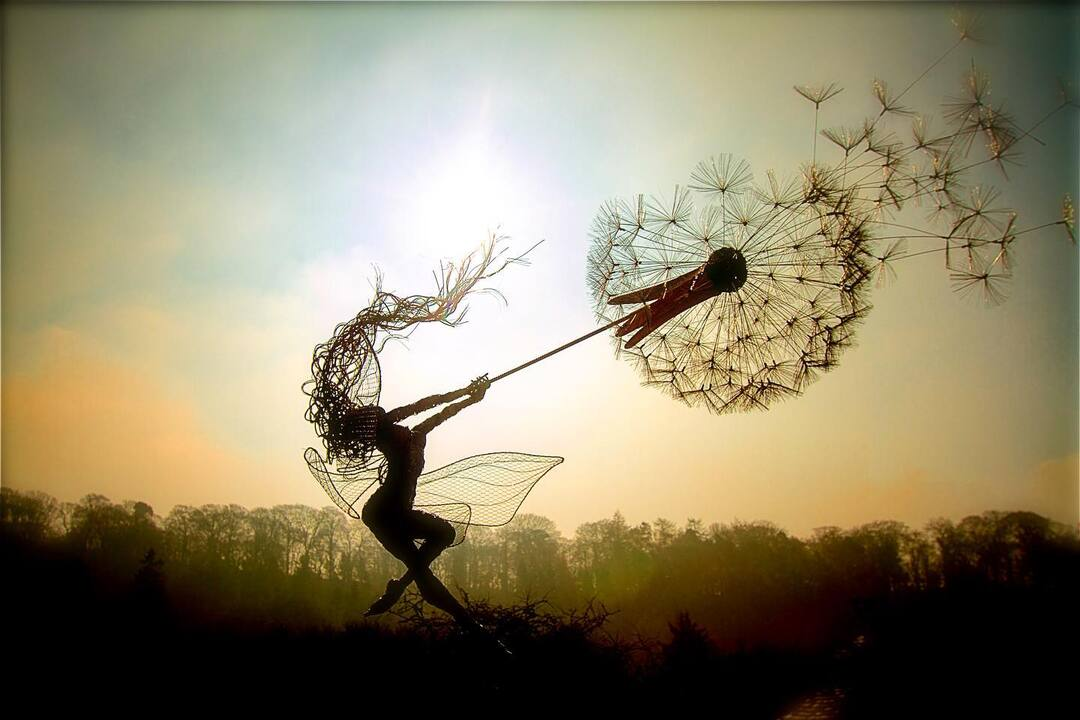Faelyra™ — Ignite Your Garden with Enchanting Magic and Lasting Wonder