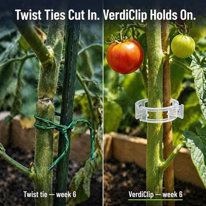 VerdiClip™ — Hold Tomatoes Tall, Ditch the Twist Ties, Save Every Stem From Snapping