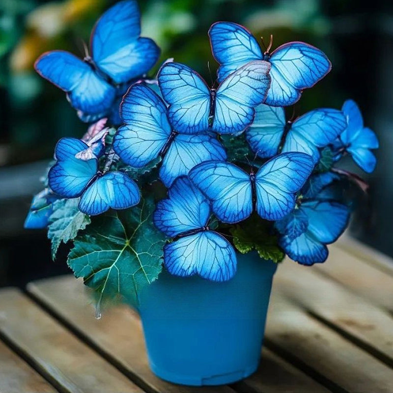 VividWing™ Butterfly Bloom Seeds — Create a Jaw-Dropping Garden Oasis That Dazzles Every Season