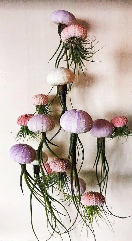 SeaSylva™ — Bring Instant Coastal Calm and Effortless Green Serenity Home