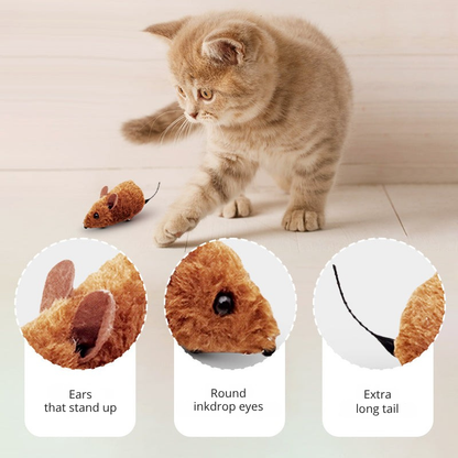 WhiskerZap™ — Ignite Your Cat’s Wild Instincts for Endless Thrilling Play