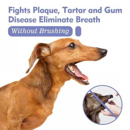 BreezeMist™ — Instantly Refresh Your Pet’s Breath for Snuggles That Spark Joy