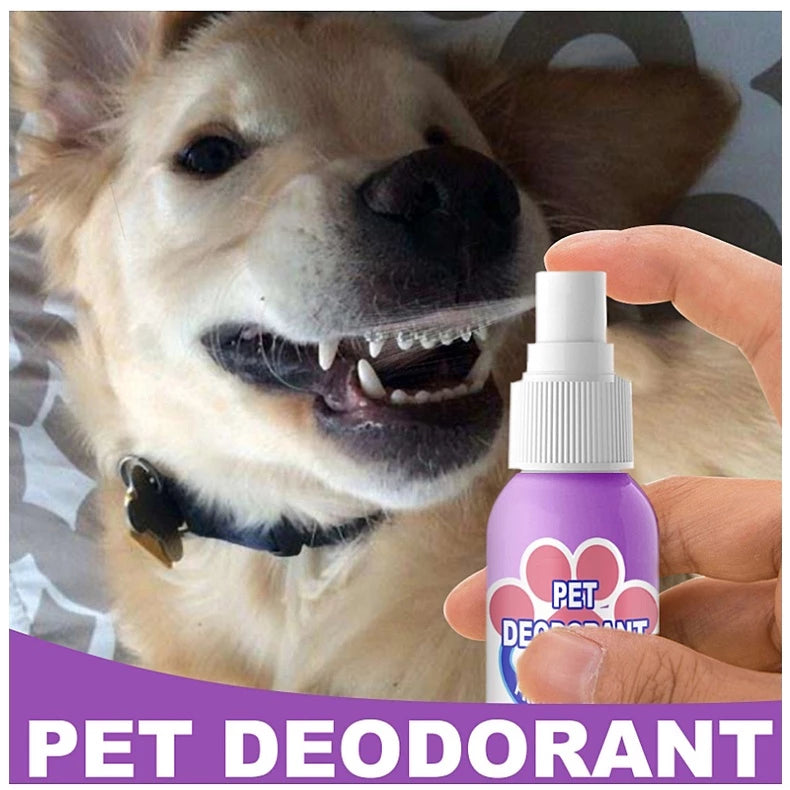 BreezeMist™ — Instantly Refresh Your Pet’s Breath for Snuggles That Spark Joy