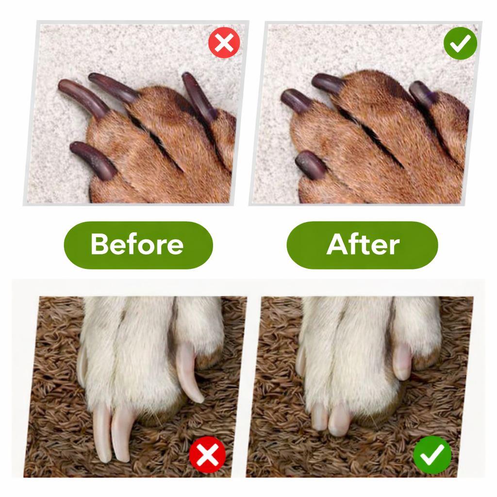 PawLume™ — Light Up Every Trim for Calm, Confident, Pain-Free Grooming