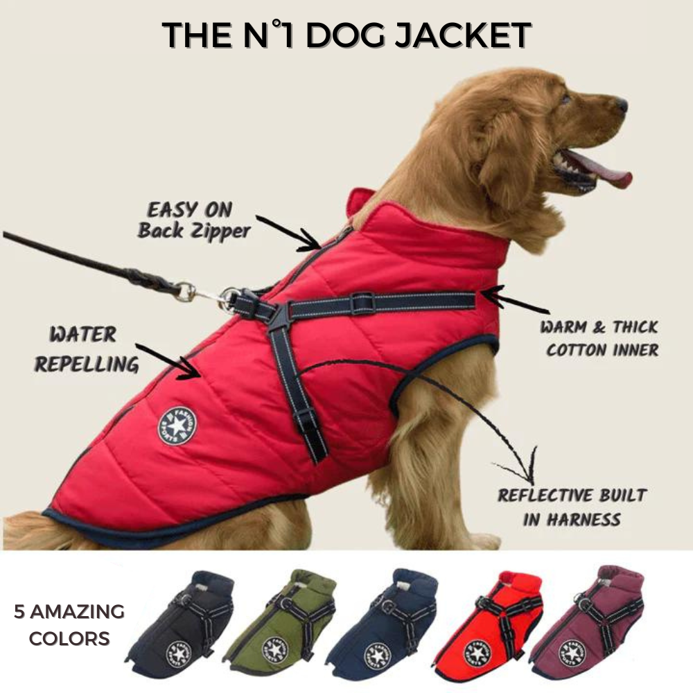 BlizzardGuard™ — Wrap Your Dog in Stormproof Warmth and Total Leash Control