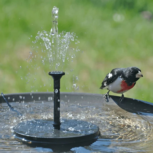 AquaSeren™ — Transform Your Garden Into a Peaceful, Splash-Free Solar Oasis