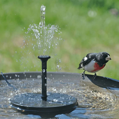 AquaSeren™ — Transform Your Garden Into a Peaceful, Splash-Free Solar Oasis
