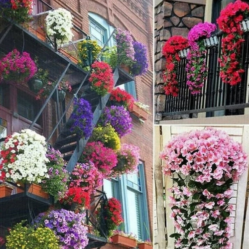 Floriquea™ — Transform Your Space with Effortless, Everlasting Orchid Elegance