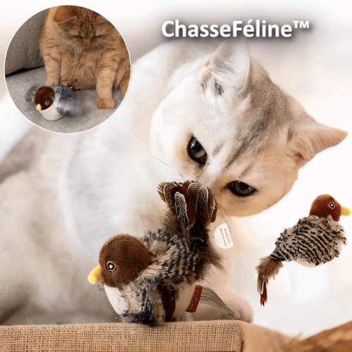 WildWing™ — Ignite Your Cat’s Wild Instincts for Endless Playtime Thrills