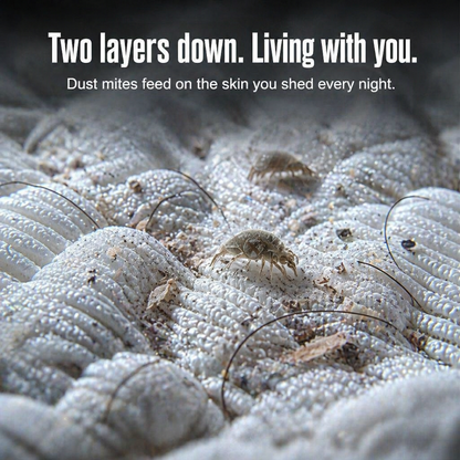AeroPure™ — Pull Hidden Mites Out Of Your Mattress In 5 Minutes
