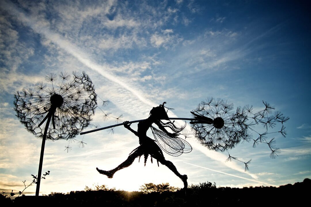 Faelyra™ — Ignite Your Garden with Enchanting Magic and Lasting Wonder