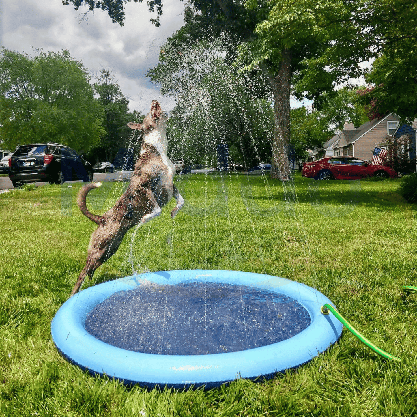 RippleJoy™ — Instant Splash Fun That Brings Your Whole Family Closer