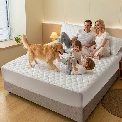 DuraDream™ — Experience the Ultimate Bed Shield for Unstoppable Comfort and Spotless Sleep