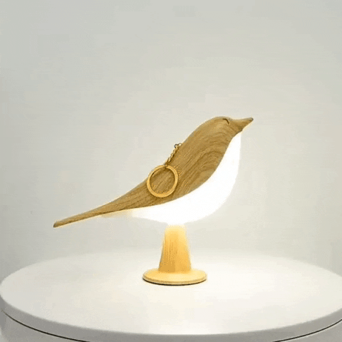 NaturaLume™ — Transform Your Space into a Blissful Haven of Light and Calm