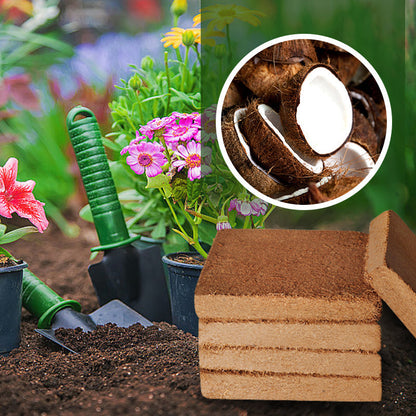 TerraPulse™ Organic Coconut Coir — Ignite Lush Growth with Every Breath Your Garden Takes
