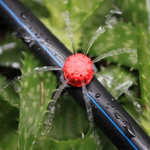 RainRoot™ — Effortless Precision Watering for a Garden That Thrives Without the Sweat