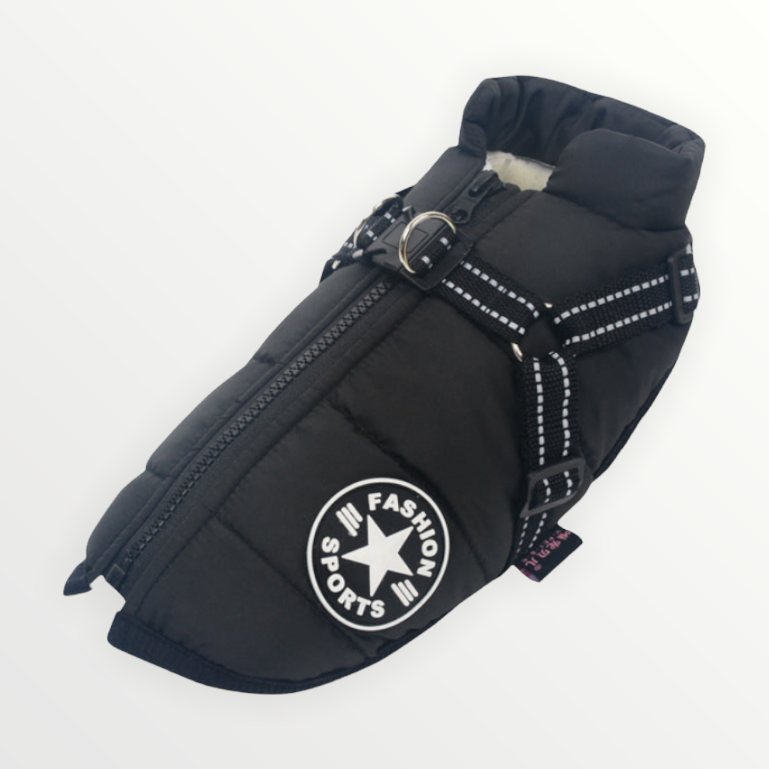 BlizzardGuard™ — Wrap Your Dog in Stormproof Warmth and Total Leash Control