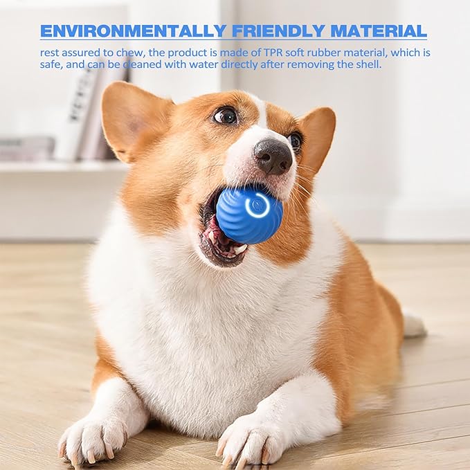 ChaseSpark™ — Ignite Your Dog’s Wild Instincts for Endless Joyful Play