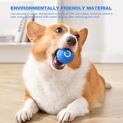 ChaseSpark™ — Ignite Your Dog’s Wild Instincts for Endless Joyful Play