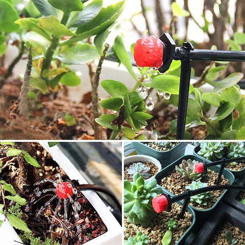 RainRoot™ — Effortless Precision Watering for a Garden That Thrives Without the Sweat