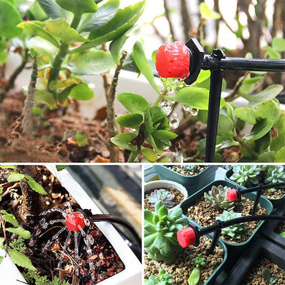 RainRoot™ — Effortless Precision Watering for a Garden That Thrives Without the Sweat